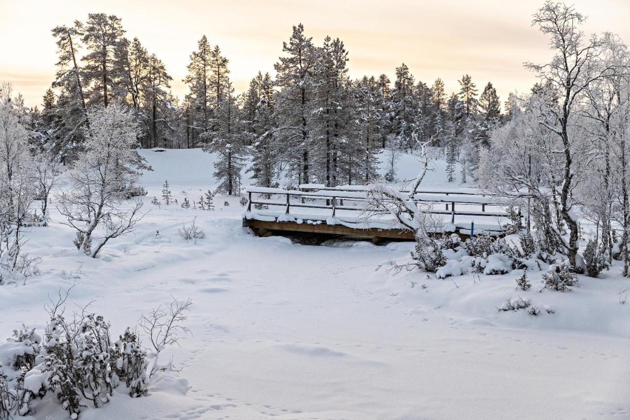 Polar Aurora Cabins Saariselka Εξωτερικό φωτογραφία